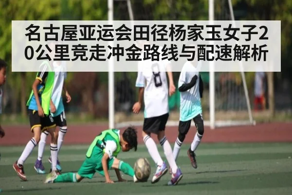 名古屋亚运会田径杨家玉女子20公里竞走冲金路线与配速解析（kaiyun）
